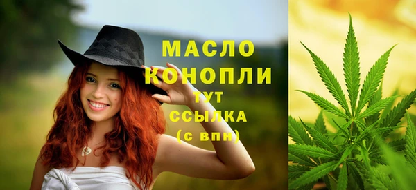 Альфа ПВП Аша