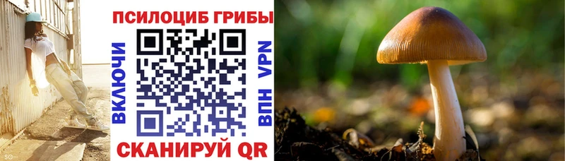 Галлюциногенные грибы Psilocybine cubensis  Камешково 